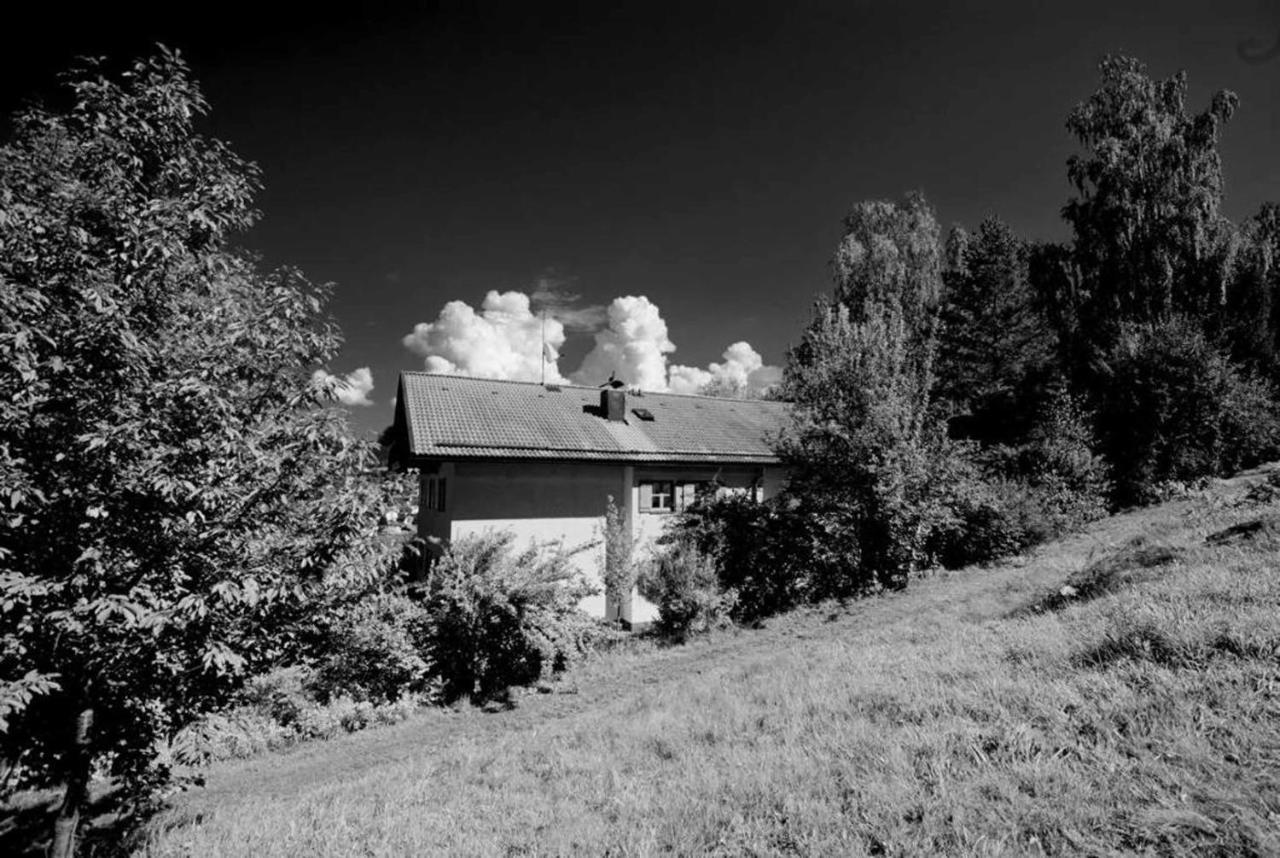 Ferienwohnungen Haus "Wildschuetz" Фрауенау Екстер'єр фото